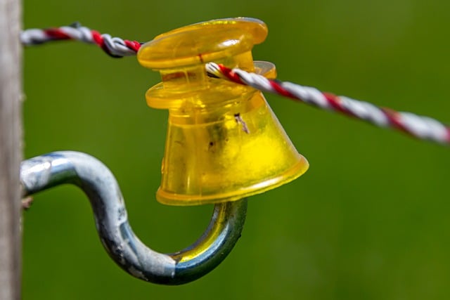 Hot Wire Fence for Dogs: Expert Guide to Safe Containment