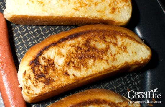 Perfect Toasted Hot Dog: Expert Guide to Grilling, Buns & Toppings