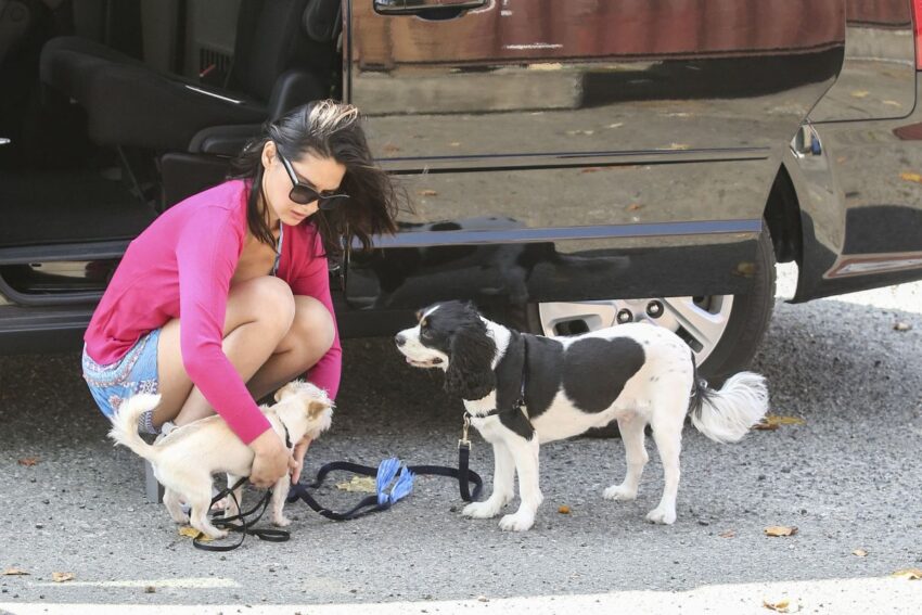 Olivia Munn Hot Dog: Unveiling the Truth Behind the Viral Image & More