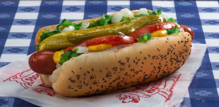 A Hot Dog Dog: Unveiling the Delicious Truth
