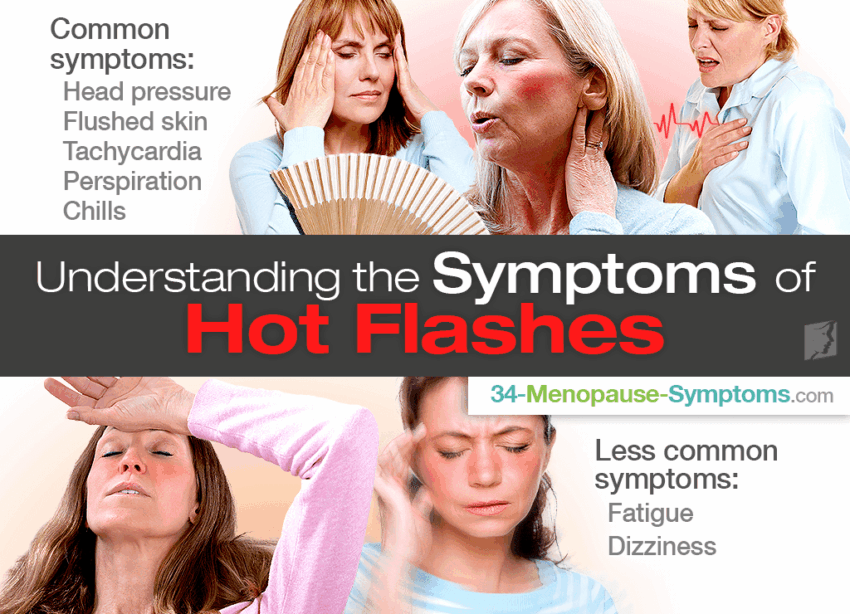 Can Dogs Get Hot Flashes? Understanding Hormonal Changes in Female Dogs