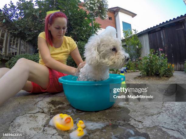 Dog in Hot Tub: Safety, Risks & Expert Advice for Pet Owners