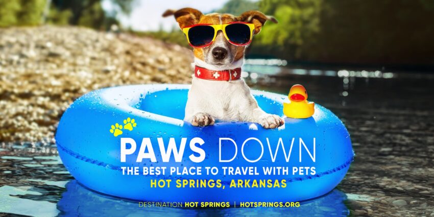 Hot Springs Dog Friendly: The Ultimate Guide to Soaking Safely with Your Pup