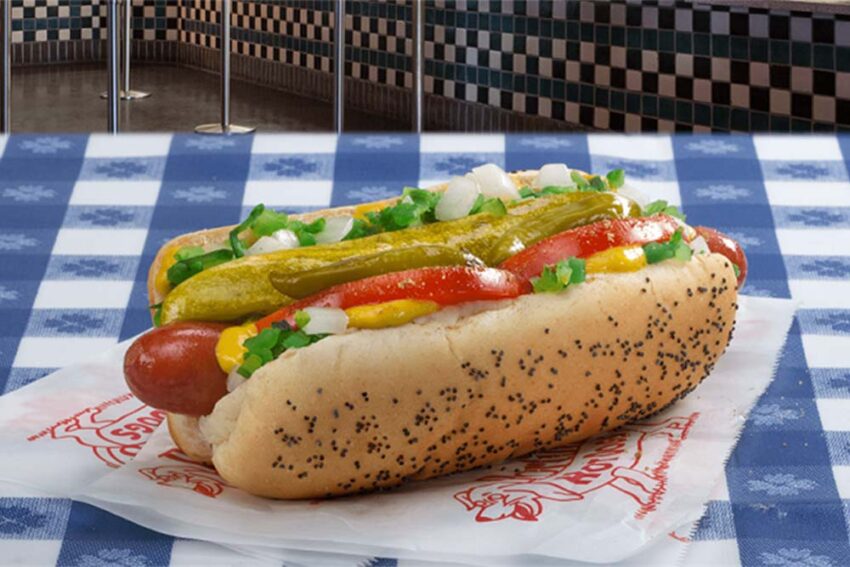 Chicago’s Best Hot Dog Places: A Definitive Guide [2024]