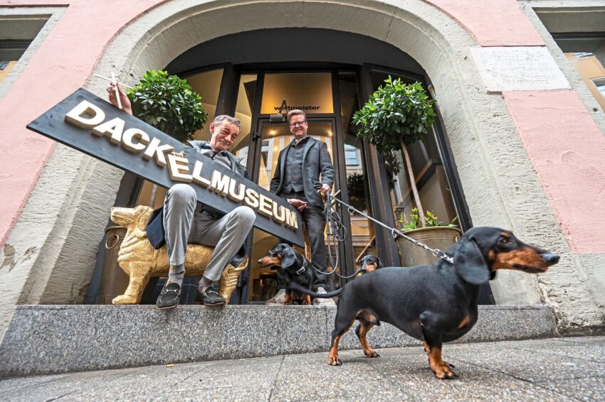 Dachshund in a Hot Dog? Understanding the Weiner Dog’s Popularity