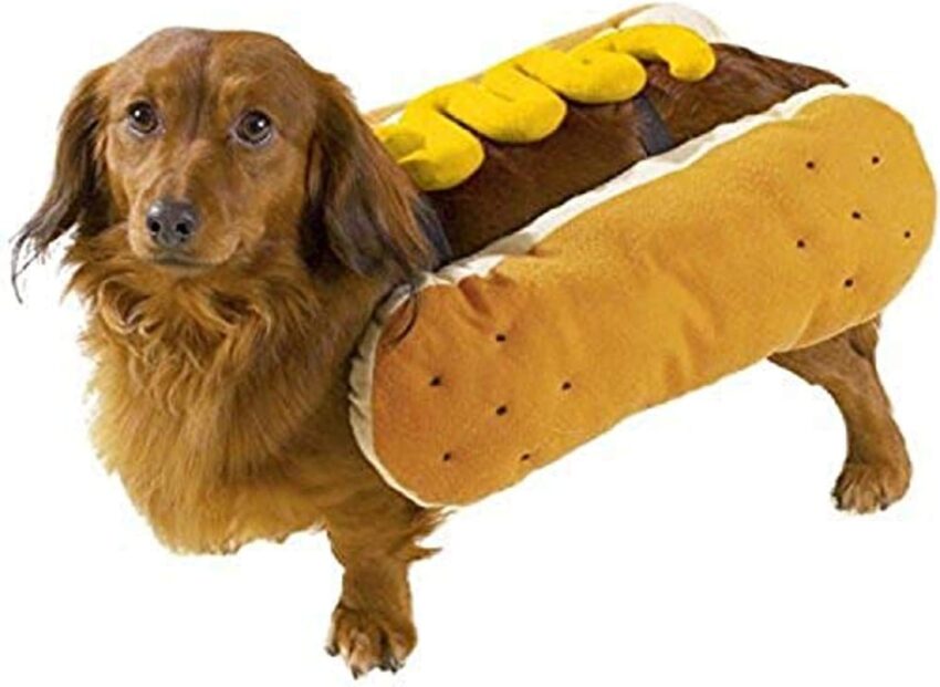 Hot Dog Dog Outfit: The Ultimate Guide to Canine Culinary Couture