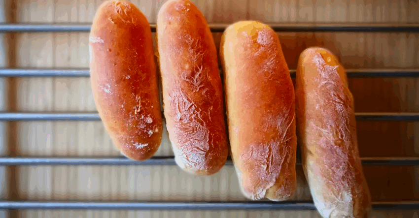 Hot Dogs Brot: The Definitive Guide to a Culinary Delight