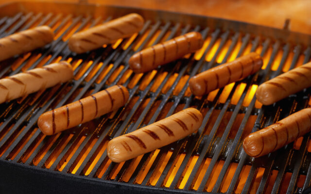 Oscar Mayer Vegan Hot Dog: Your Ultimate Guide (2024)