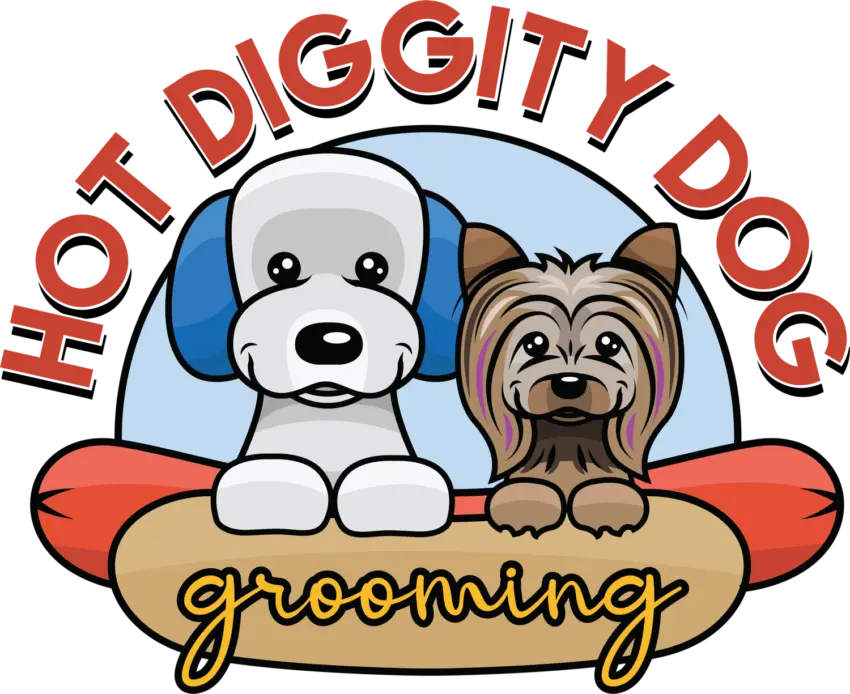 Hot Diggity Dog Thomasville GA: Your Ultimate Guide to Deliciousness!