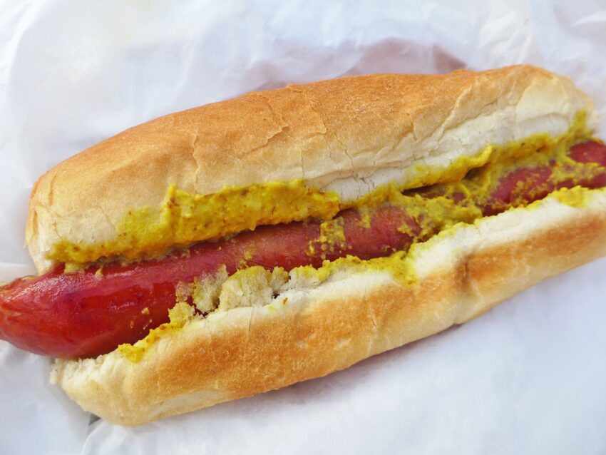 Best New York Hot Dogs: The Ultimate Guide (2024)