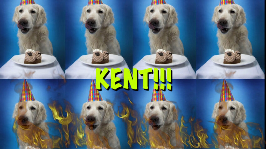 Kent Hot Dogs: The Definitive Guide to a Culinary Staple