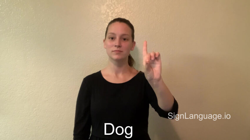 Mastering ‘Hot Dog’ in Sign Language: A Comprehensive Guide