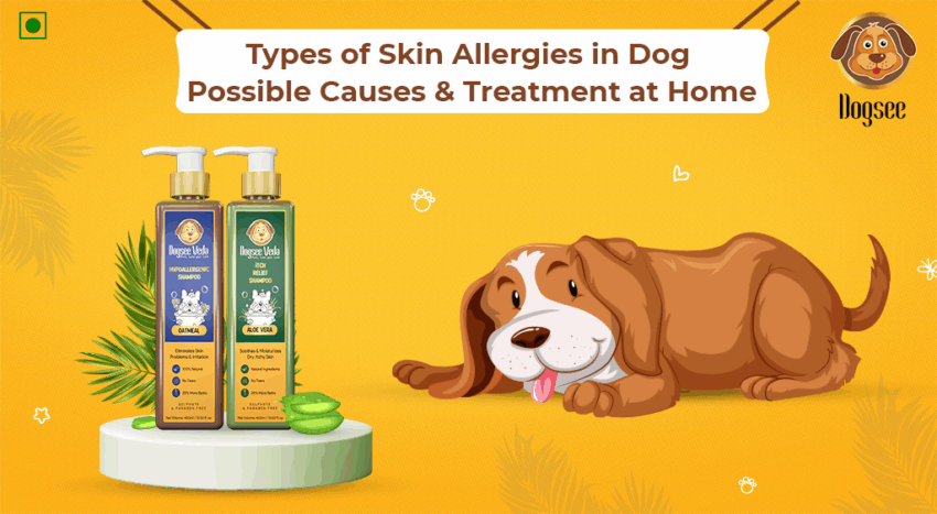 Hot Dog Allergy: Symptoms, Diagnosis & Expert Management Guide