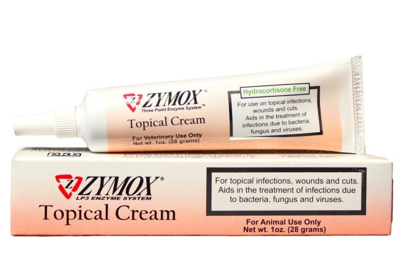 Best Cream for Dogs Hot Spots: Relief, Treatment & Expert Advice