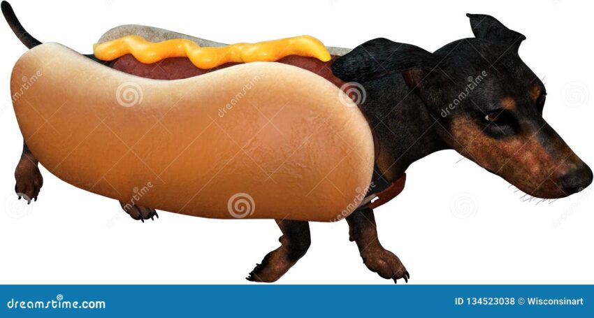 Weenie Hot Dog: The Ultimate Guide to Flavor, History & More