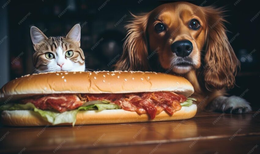 Caprichoso Hot Dogs: The Ultimate Guide to Deliciously Decadent Dogs
