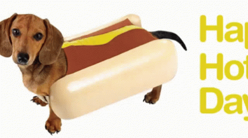 I Want Hot Dogs: Your Ultimate Guide to Deliciousness!