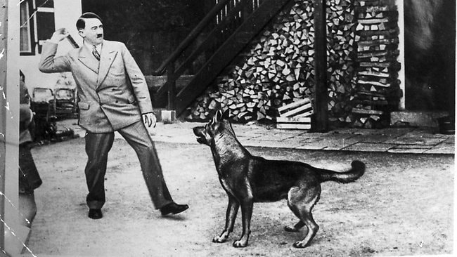 Hitler Hot Dog: Unpacking the Controversial Culinary Creation
