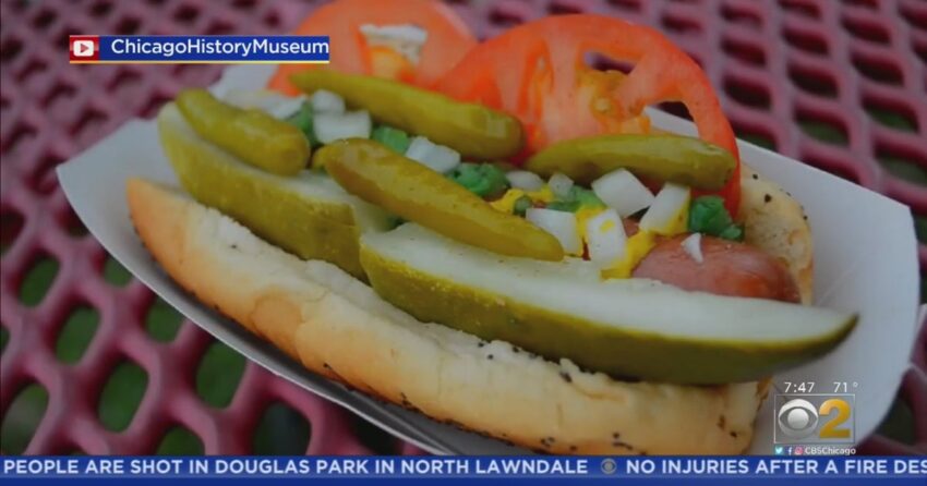 Hot Dog Fest Chicago 2025: Your Ultimate Guide!