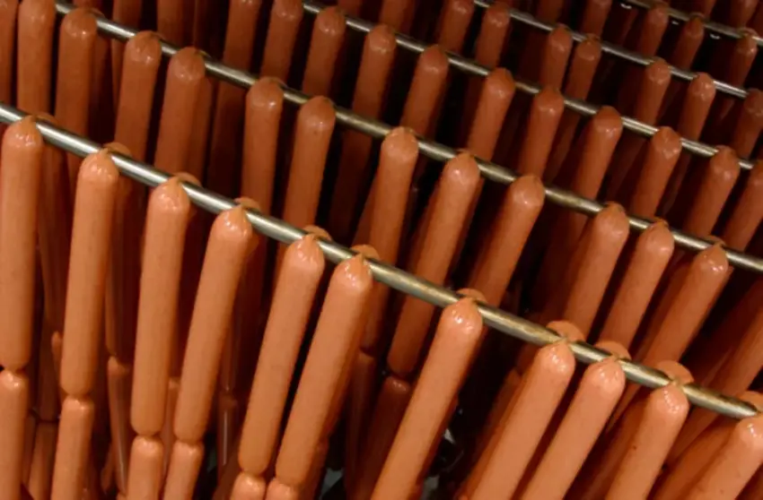Hot Dog Recall Human DNA: Unraveling the Truth & Protecting Your Health