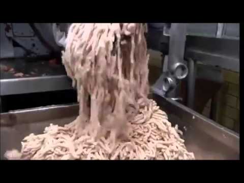 Hot Dog Being Made: From Start to Finish – An Expert Guide