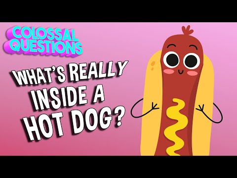 Why Called Hot Dog? Unraveling the Savory Sausage’s Name