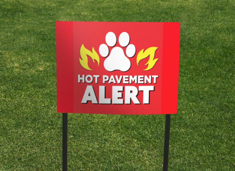 Dogs on Hot Pavement: Protecting Your Pup from Burning Paws