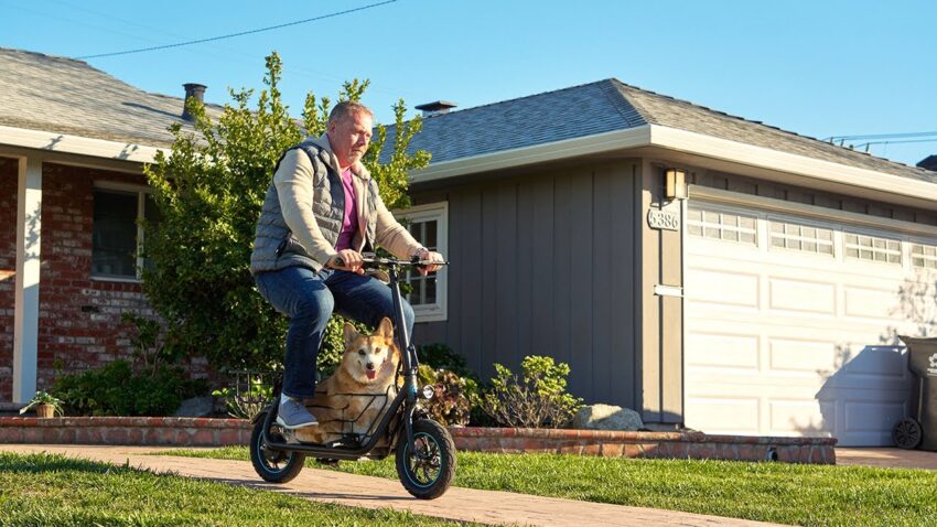 Hot Dog Scooter: The Ultimate Guide to Mobile Culinary Freedom