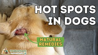 Soothe Your Pup: Effective Home Remedies for Hot Spots on Dogs