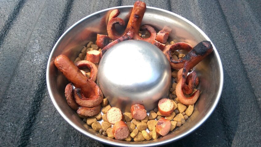 SRF Hot Dog: The Ultimate Guide to Wagyu Beef Franks