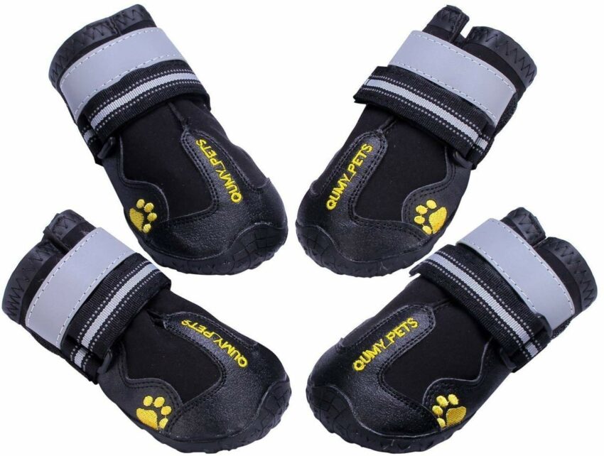 Hot Pavement Dog Booties: Ultimate Protection & Expert Guide