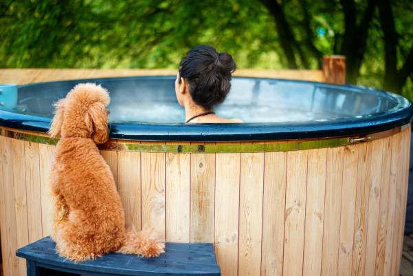 My Dog Drank Hot Chocolate! What to Do & How to Help