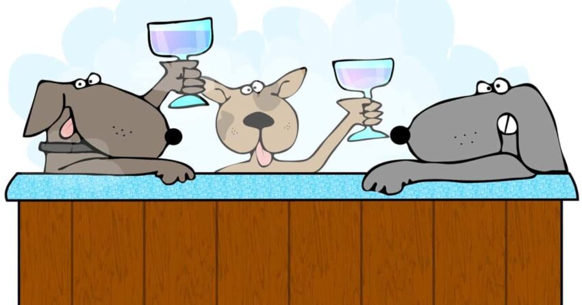 Dog in Hot Tub: Safety, Risks & Expert Advice (2024)