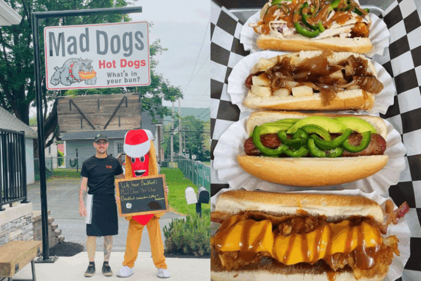 Mad Dog Hot Dogs: The Ultimate Guide to Spicy, Fiery Flavor