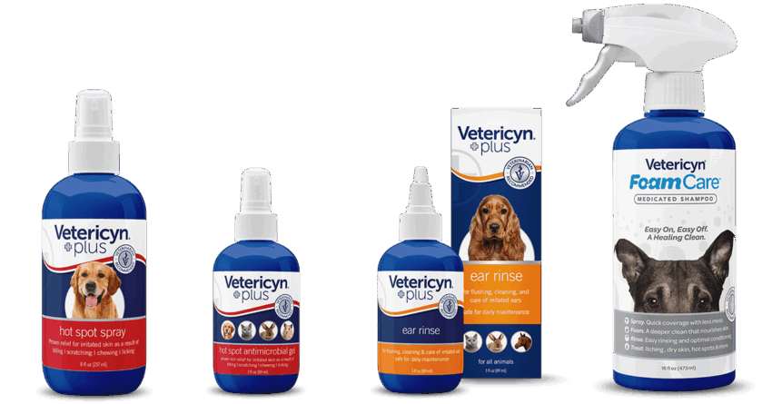 Hot Spot Shampoo for Dogs: Expert Guide to Soothing Relief & Prevention